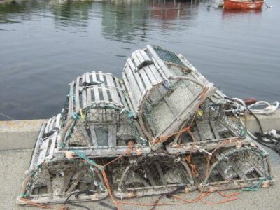 Bread! in Nova Scotia Image
